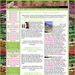 Natural Mystic Designs